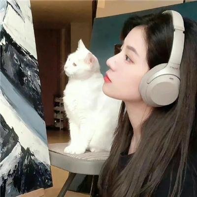 完美的一天