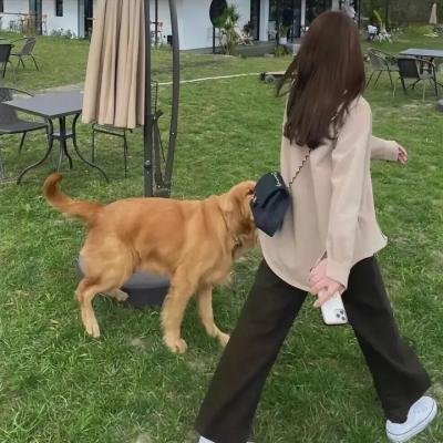 污泥中的纯情